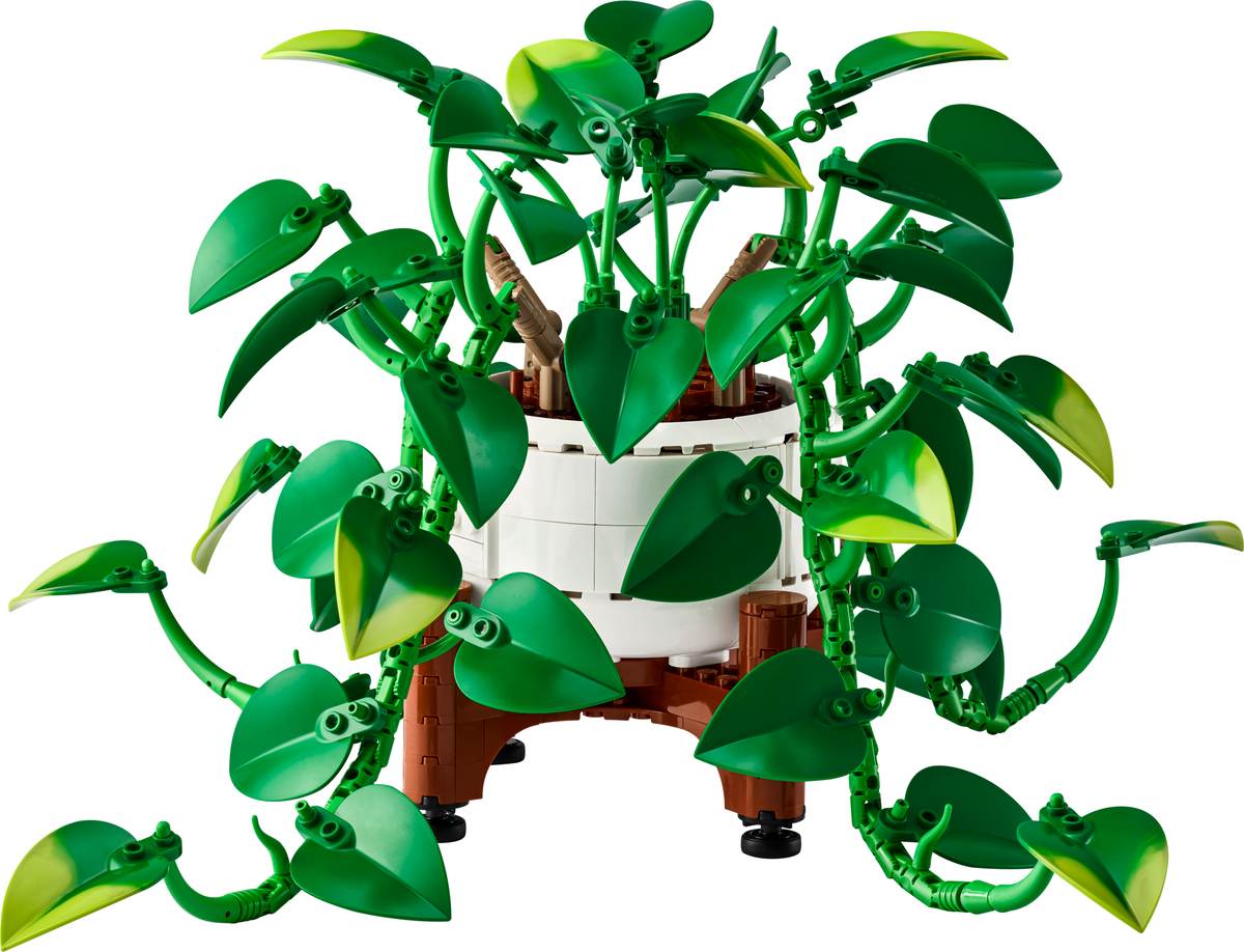 LEGO Botanical Collection Hangende drakenklimop